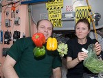 Cosmonaut Oleg Kotov and NASA astronaut Tracy Caldwell Dyson open a delivery of fresh fruit and vegetables on the International Space Station in May, 2010. (Credits: NASA).