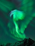 Bjørn Jørgensen observed this display from Tromsø, Norway on January 22 (Credits: Bjørn Jørgensen).