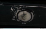 Non-Newtonian Fluids in Space