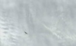 Photograph of Dragon maneuvering 250 km below ISS (Credits: NASA).
