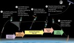 NanoThor Aims to Fling NanoSats into Orbit