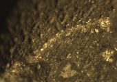 One of the Sutter's Mill meteorites demonstrates a crust fused by the heat of atmospheric entry but a pristine interior (Credits: Robert Beauford, University of Arkansas).