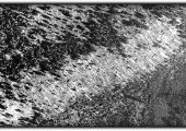 Tunguska region in 1938: Portion of one of the photos from Kulik's aerial photographic survey (1938) of the Tunguska region.
The parallel fallen trees indicate the direction of the blast wave. About 2150 square kilometres of Siberian taiga were devastated and 80 millions trees were overthrown. Credit: University of Bologna.