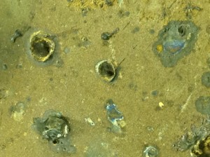 Close up of the surface of Gentz's first find, consistent with the impact marks from micrometeoroids (credits: Dean Gentz).
