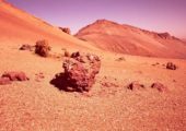 Is the Red Planet capable of sustaining plant growth? (Credits: NASA)