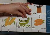 Space food, as envisioned by Stanley Kubrick in 2001: A Space Odyssey (Credits: MGM).