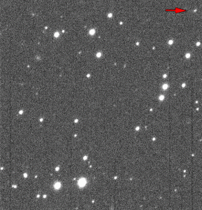 Asteroid 2013 MZ5 as seen by the University of Hawaii's PanSTARR-1 telescope (Credits: PS-1/UH).