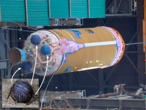 Centaur rocket upper stage. credits: ULA