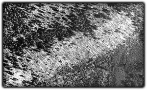 Tunguska region in 1938: Portion of one of the photos from Kulik's aerial photographic survey (1938) of the Tunguska region.The parallel fallen trees indicate the direction of the blast wave. About 2150 square kilometres of Siberian taiga were devastated and 80 millions trees were overthrown. Credit: University of Bologna.