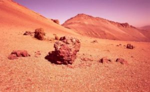 Is the Red Planet capable of sustaining plant growth? (Credits: NASA)