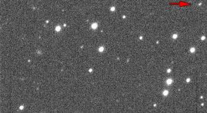Asteroid 2013 MZ5 as seen by the University of Hawaii's PanSTARR-1 telescope. In this animated gif, the asteroid moves relative to a fixed background of stars. Asteroid 2013 MZ5 is in the right of the first image, towards the top, moving diagonally left/down. Image credit: PS-1/UH (Credits: NASA JPL).