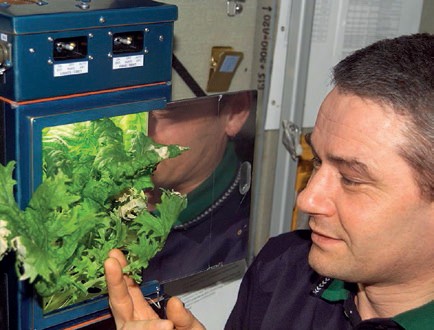Russian cosmonaut Valery Korzun monitors plant growth inside the Lada chamber on board the ISS. – Credits: NASA