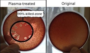 Bacterium killing with plasma: The blood-agar dishes seeded with haemolytic Staphylococcus aureus are shown, plasma treated (left) and untreated control (right) (Credits: Shaginyan, Yurov, Ermolaeva).