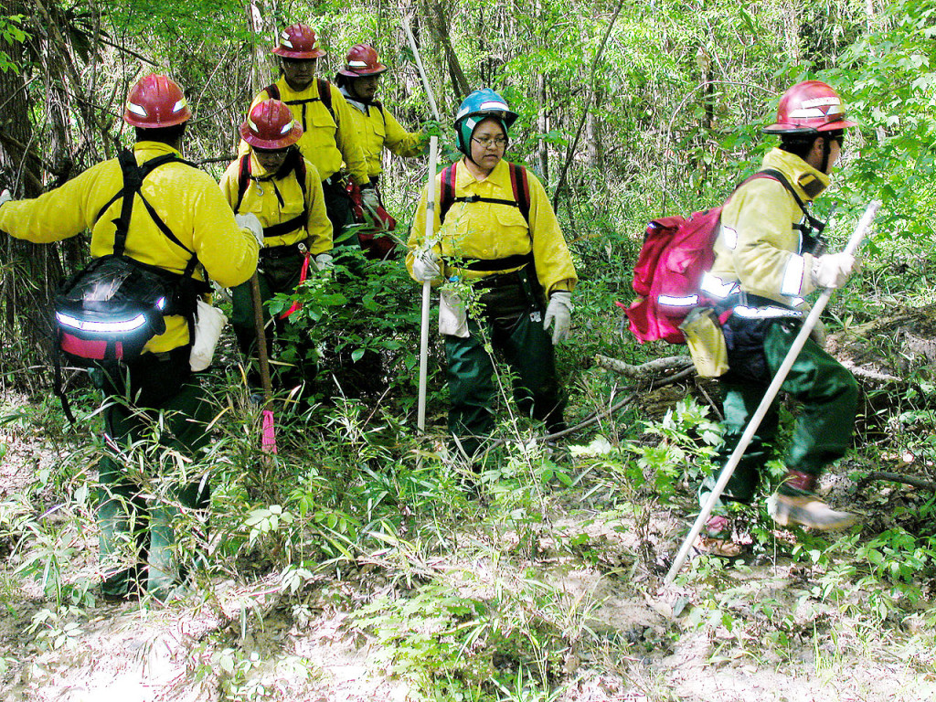US Forest Service searching for Columbia debris near the Hemphill, Texas site. Credit: Wikimedia